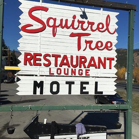 Squirrel Tree Resort Coles Corner Εξωτερικό φωτογραφία